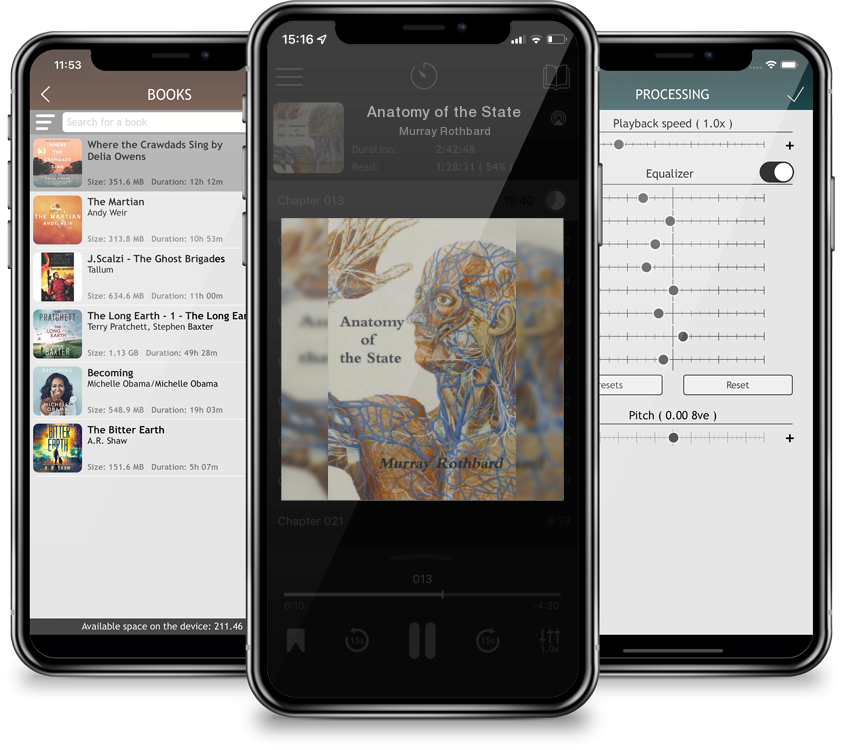 Audiobook Anatomy of the State by Murray Rothbard
