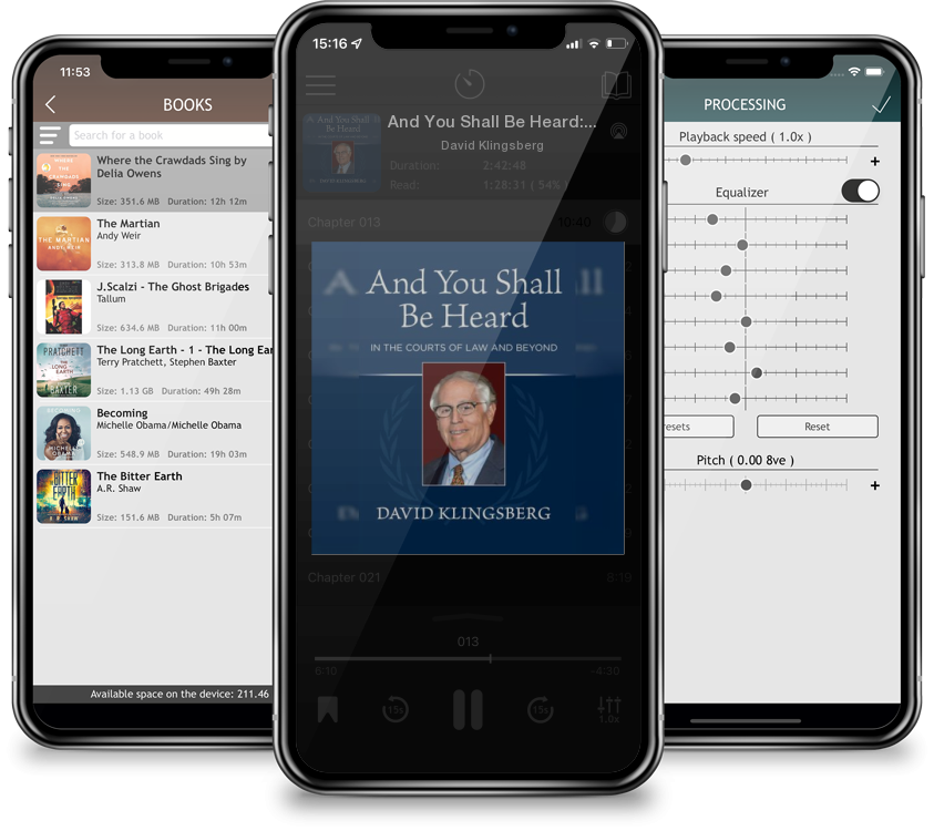 Audiobook And You Shall Be Heard: In the Courts of Law and Beyond by David Klingsberg