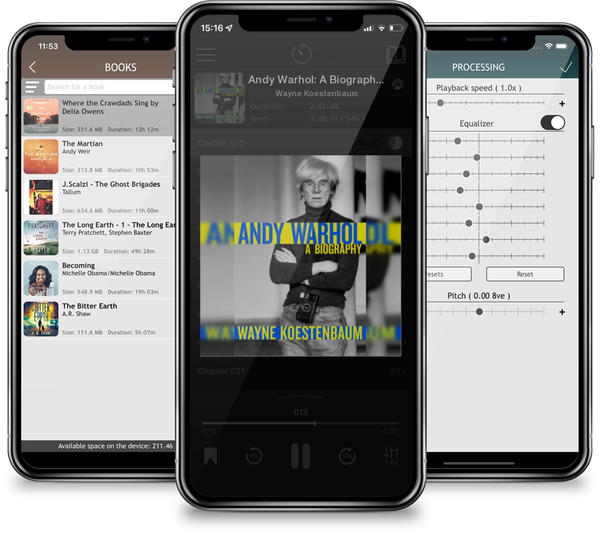 Audiobook Andy Warhol: A Biography by Wayne Koestenbaum