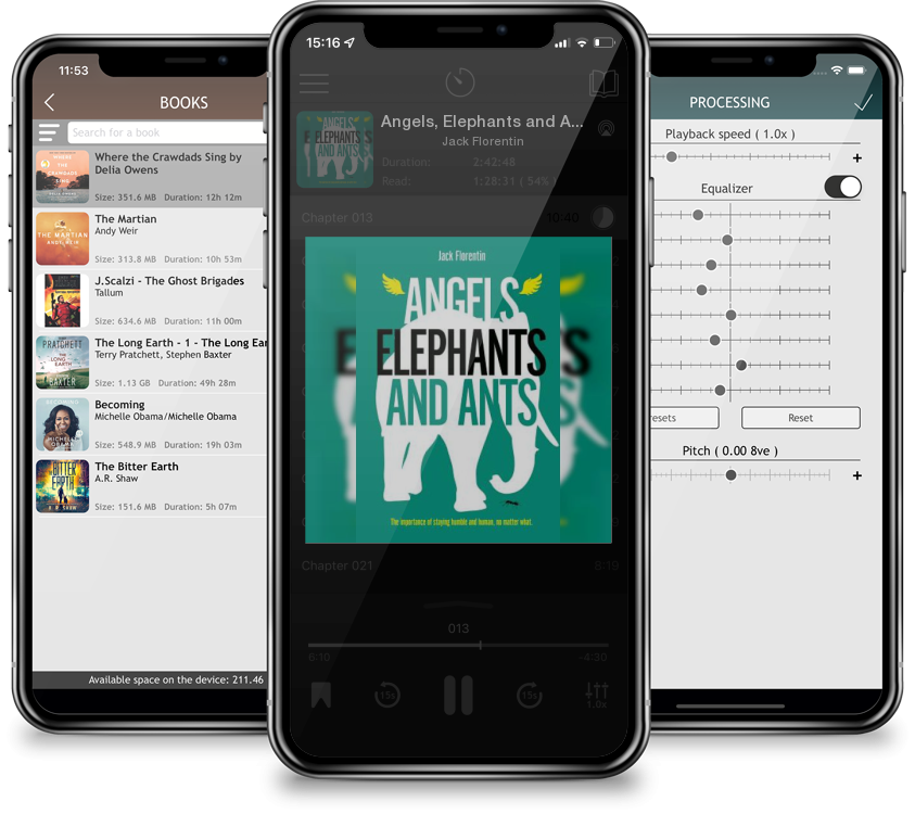 Audiobook Angels, Elephants and Ants by Jack Florentin