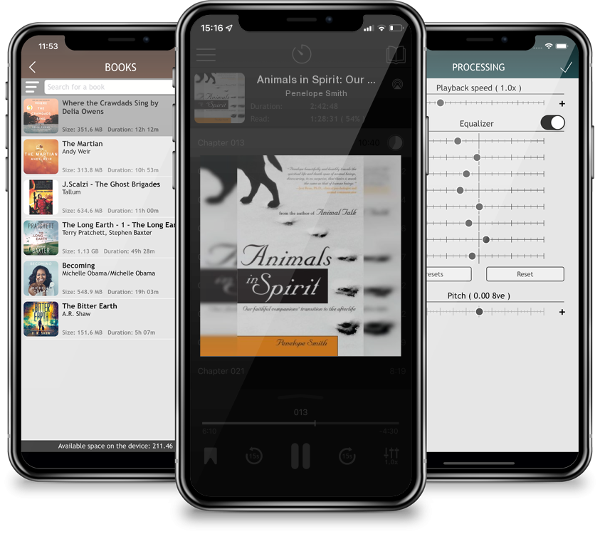 Audiobook Animals in Spirit: Our Faithful Companions\' Transition to the Afterlife by Penelope Smith