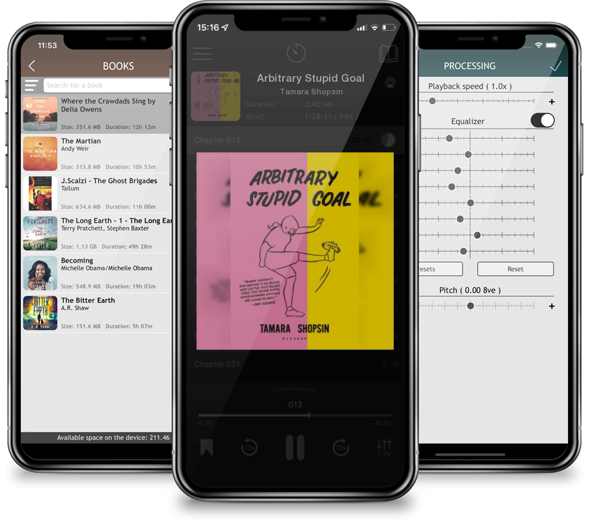 Audiobook Arbitrary Stupid Goal by Tamara Shopsin