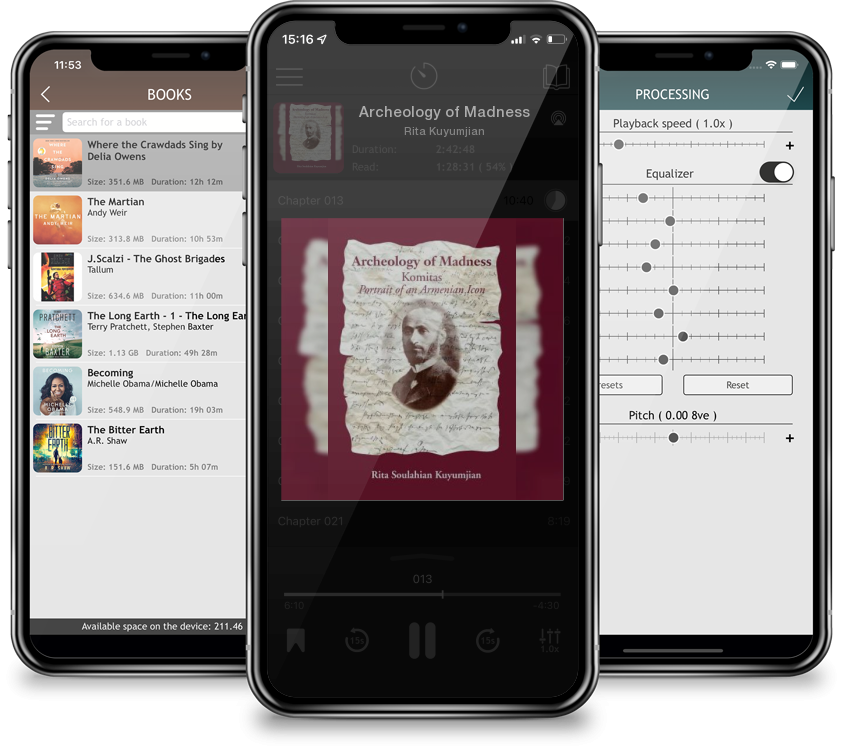 Audiobook Archeology of Madness by Rita Kuyumjian