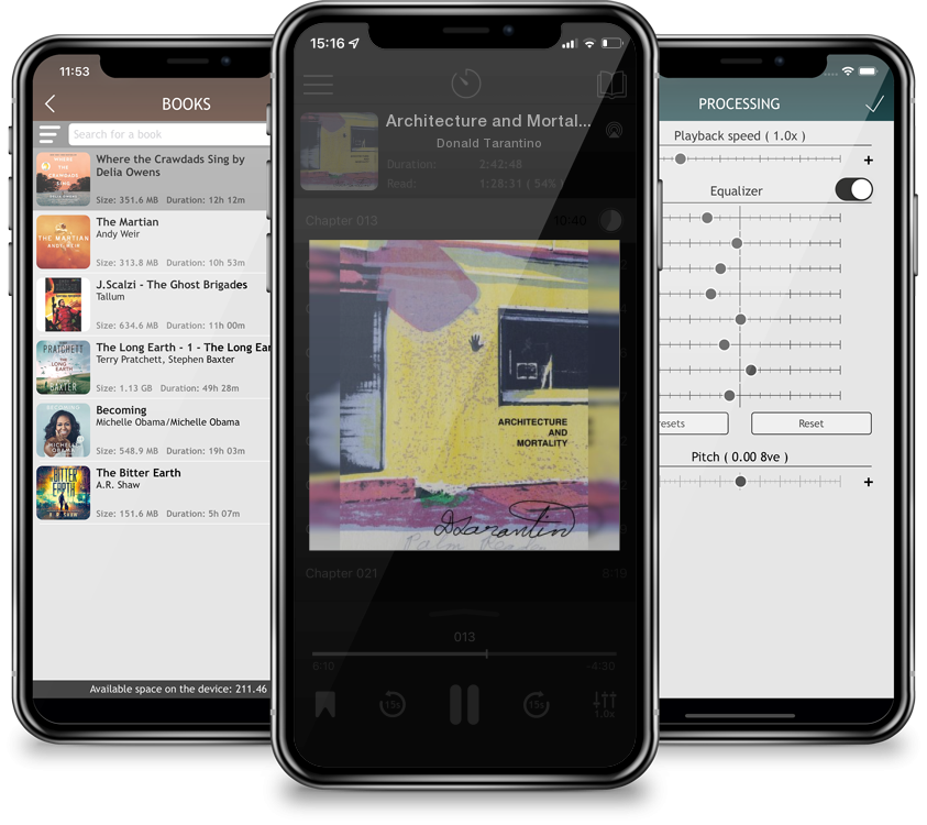 Audiobook Architecture and Mortality by Donald Tarantino