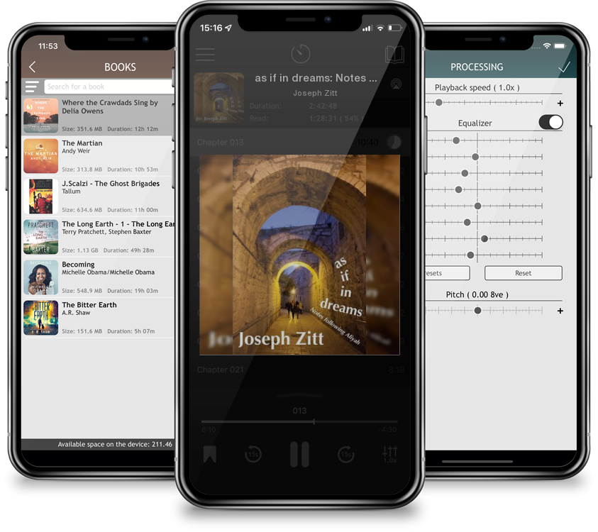 Audiobook as if in dreams: Notes following Aliyah by Joseph Zitt
