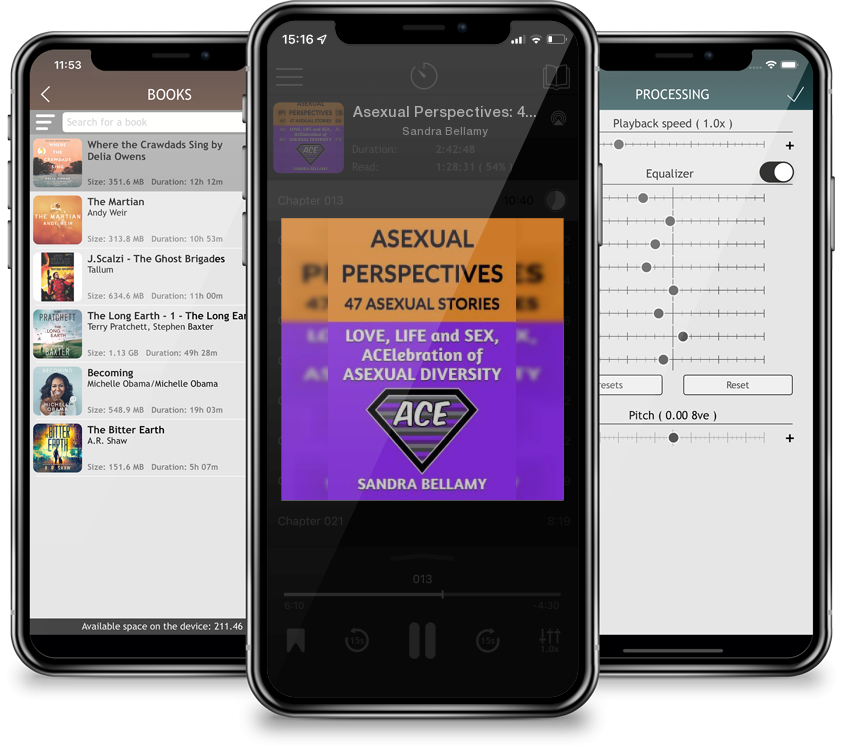 Audiobook Asexual Perspectives: 47 Asexual Stories: LOVE, LIFE and SEX, ACElebration of ASEXUAL DIVERSITY by Sandra Bellamy