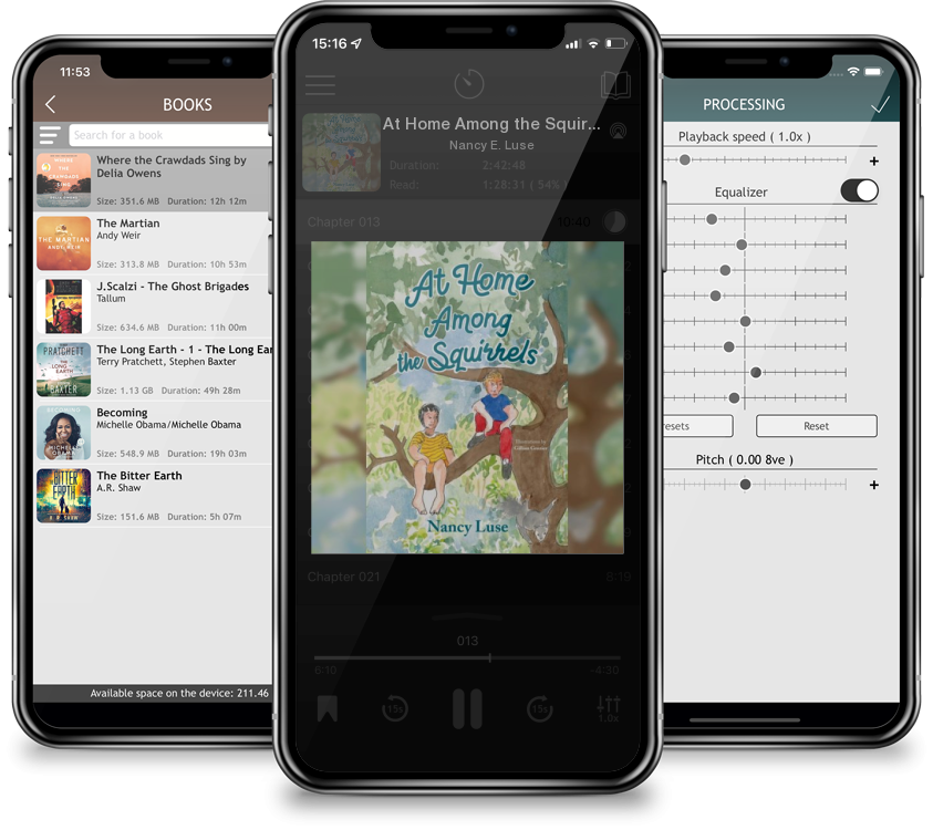 Audiobook At Home Among the Squirrels by Nancy E. Luse