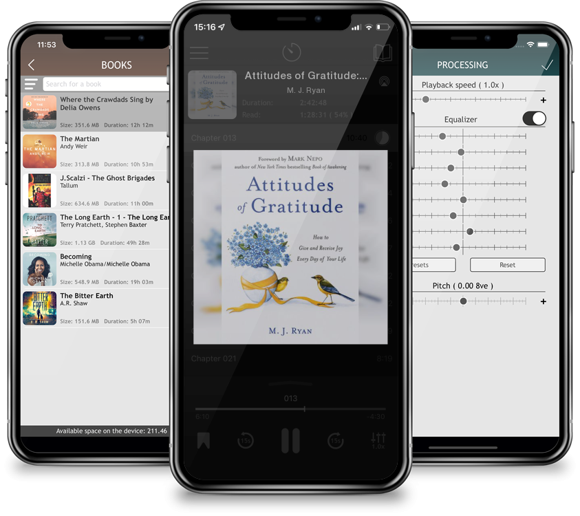 Audiobook Attitudes of Gratitude: How to Give and Receive Joy Every Day of Your Life by M. J. Ryan