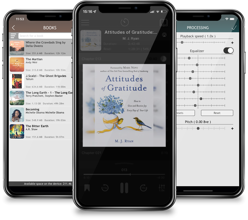 Listen Attitudes of Gratitude: How to Give and Receive Joy Every Day of Your Life by M. J. Ryan in MP3 Audiobook Player for free