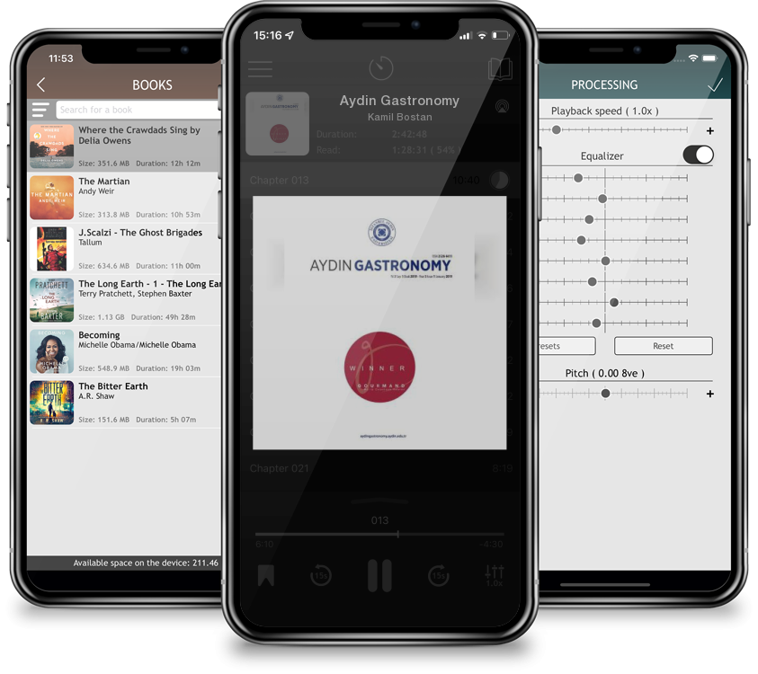 Audiobook Aydin Gastronomy by Kamil Bostan