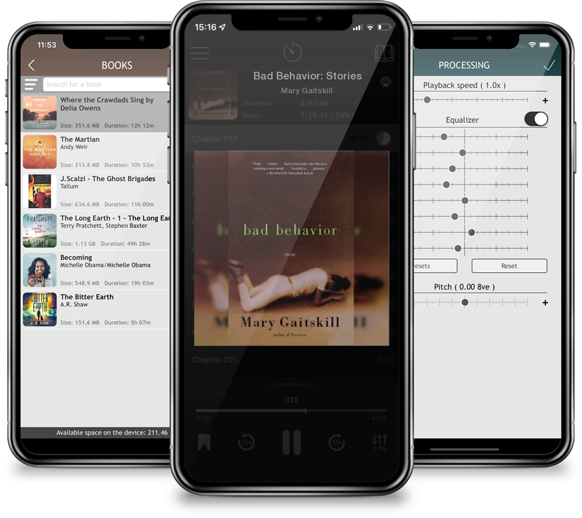 Audiobook Bad Behavior: Stories by Mary Gaitskill