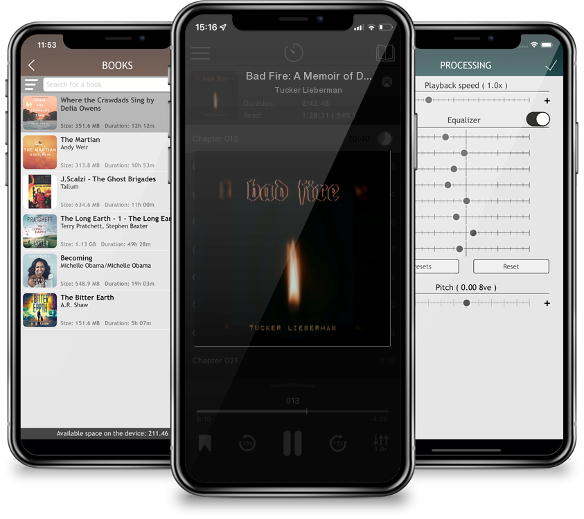 Audiobook Bad Fire: A Memoir of Disruption by Tucker Lieberman
