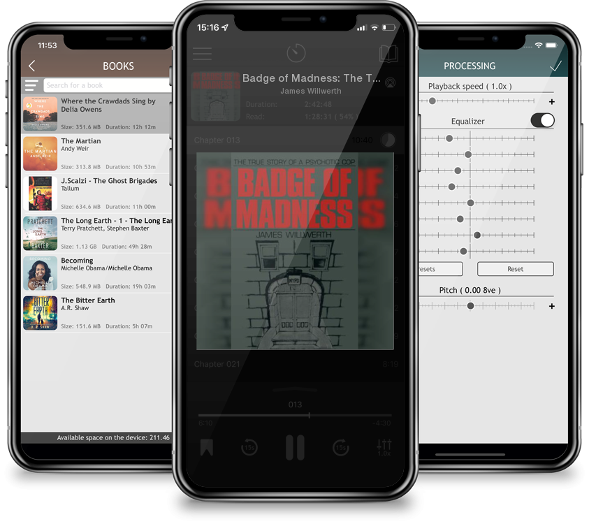 Audiobook Badge of Madness: The True Story of a Psychotic Cop by James Willwerth