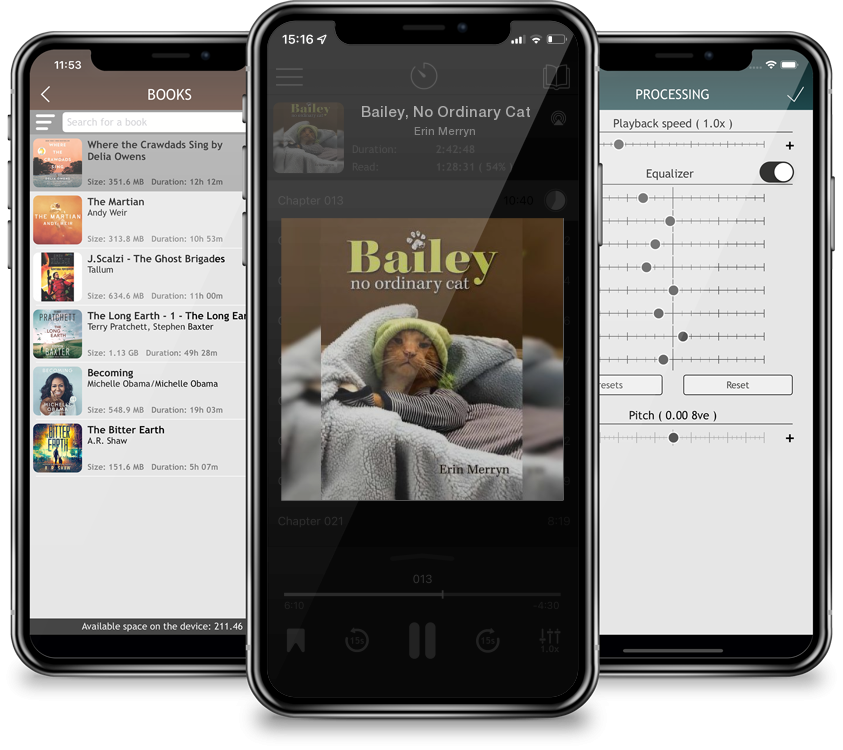 Audiobook Bailey, No Ordinary Cat by Erin Merryn