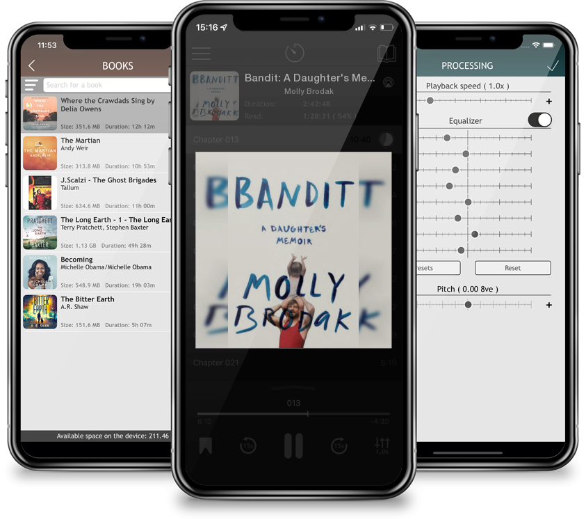 Audiobook Bandit: A Daughter\'s Memoir by Molly Brodak