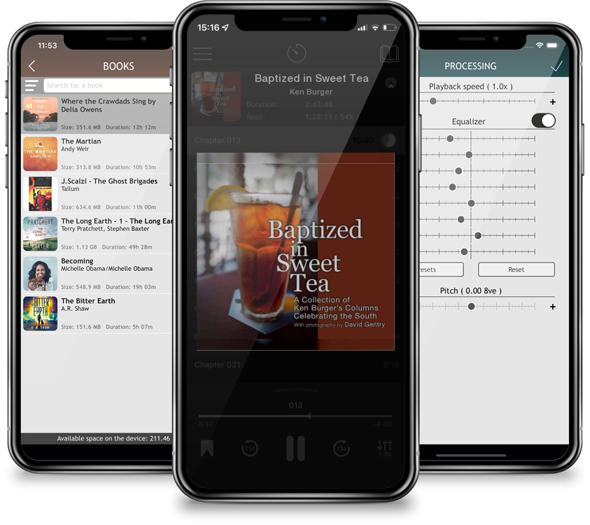 Audiobook Baptized in Sweet Tea by Ken Burger