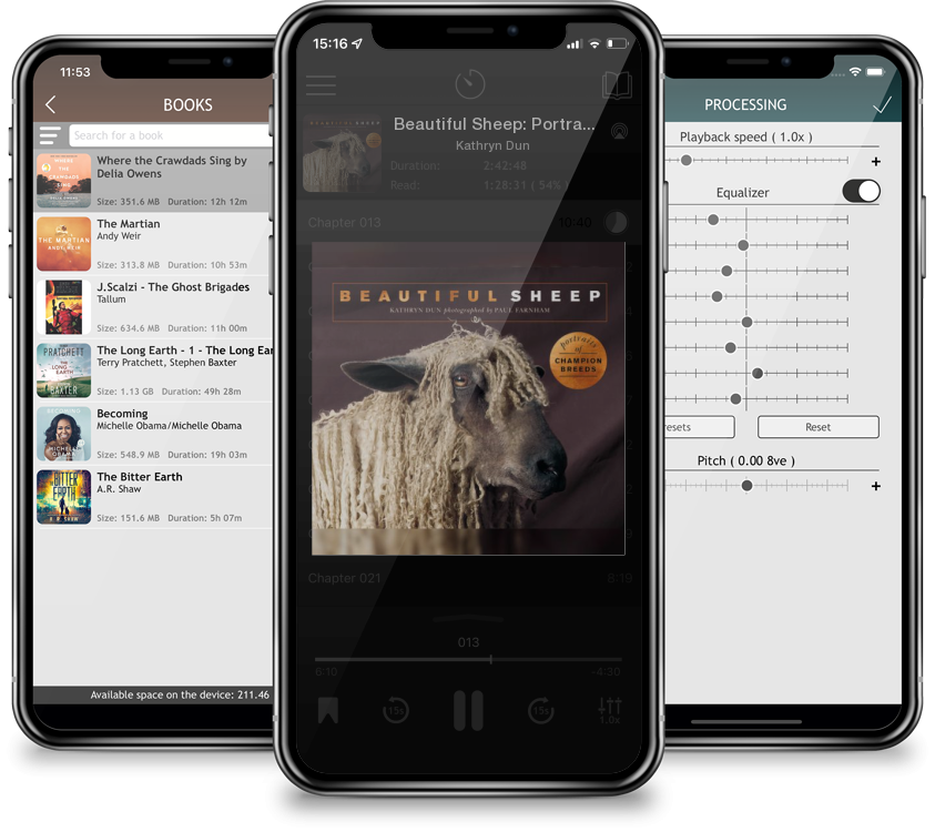 Audiobook Beautiful Sheep: Portraits of champion breeds (Beautiful Animals) by Kathryn Dun