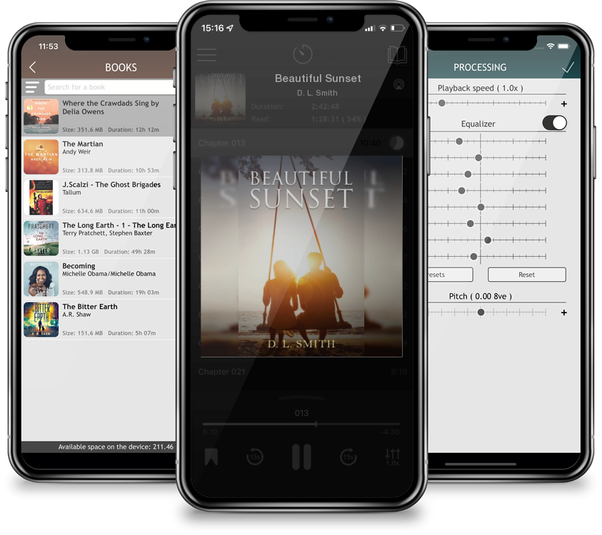 Audiobook Beautiful Sunset by D. L. Smith