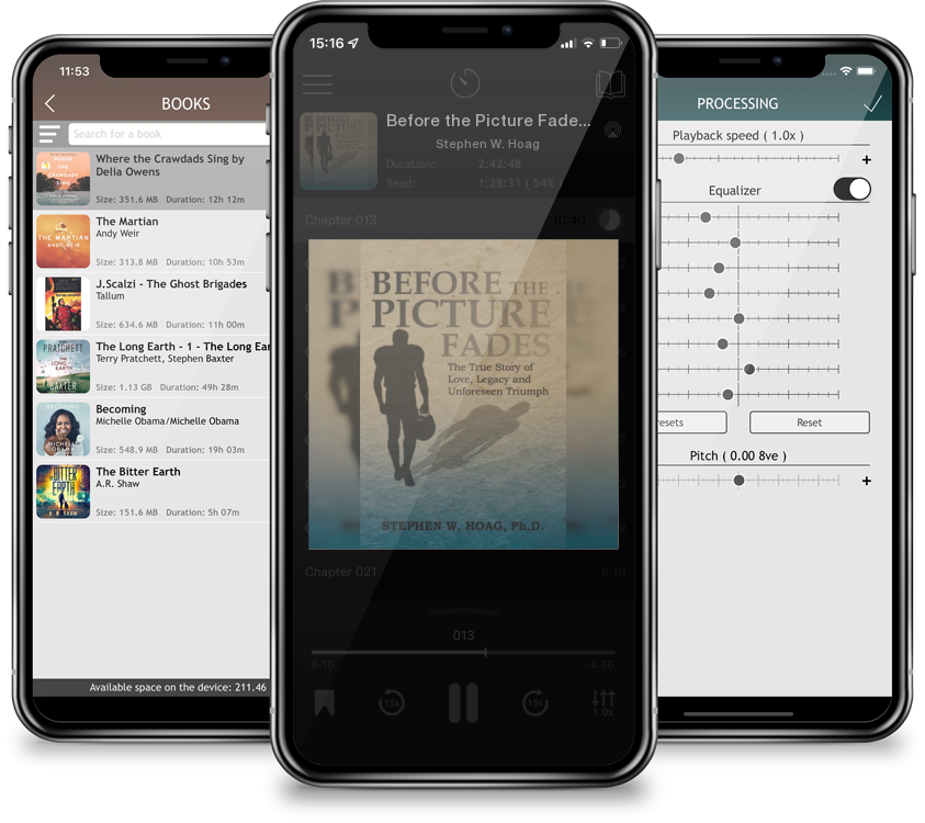 Audiobook Before the Picture Fades: The True Story of Love, Legacy and Unforeseen Triumph by Stephen W. Hoag