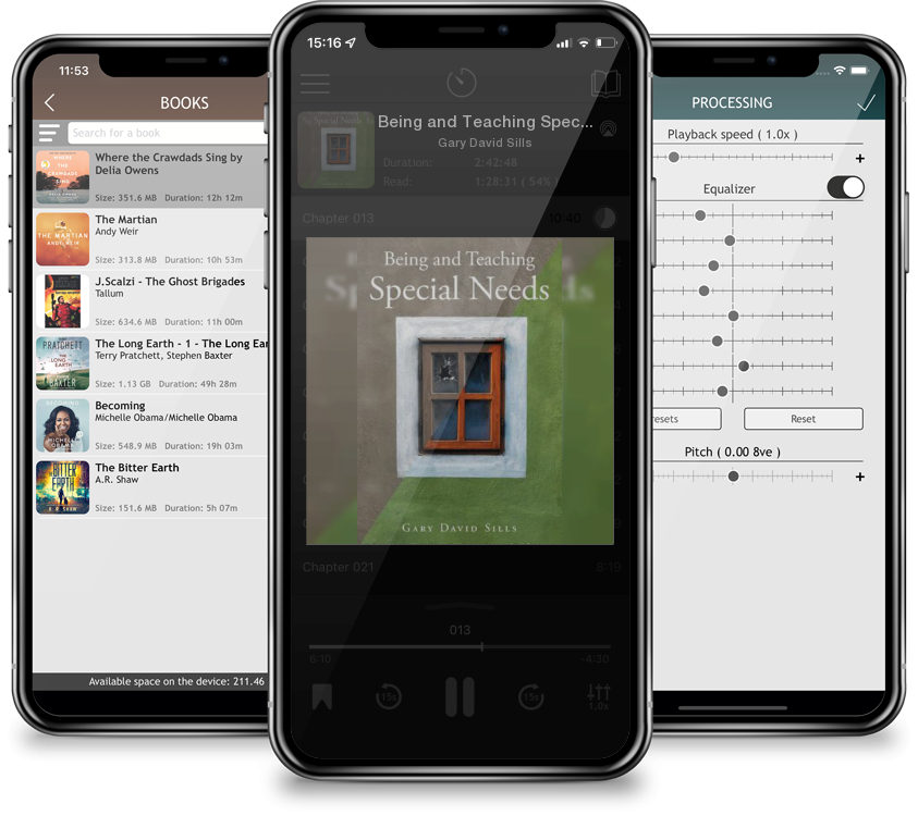 Audiobook Being and Teaching Special Needs by Gary David Sills