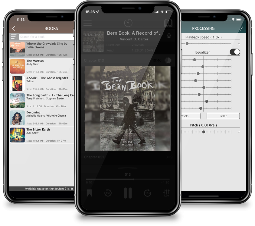 Audiobook Bern Book: A Record of a Voyage of the Mind (American Literature) by Vincent O. Carter