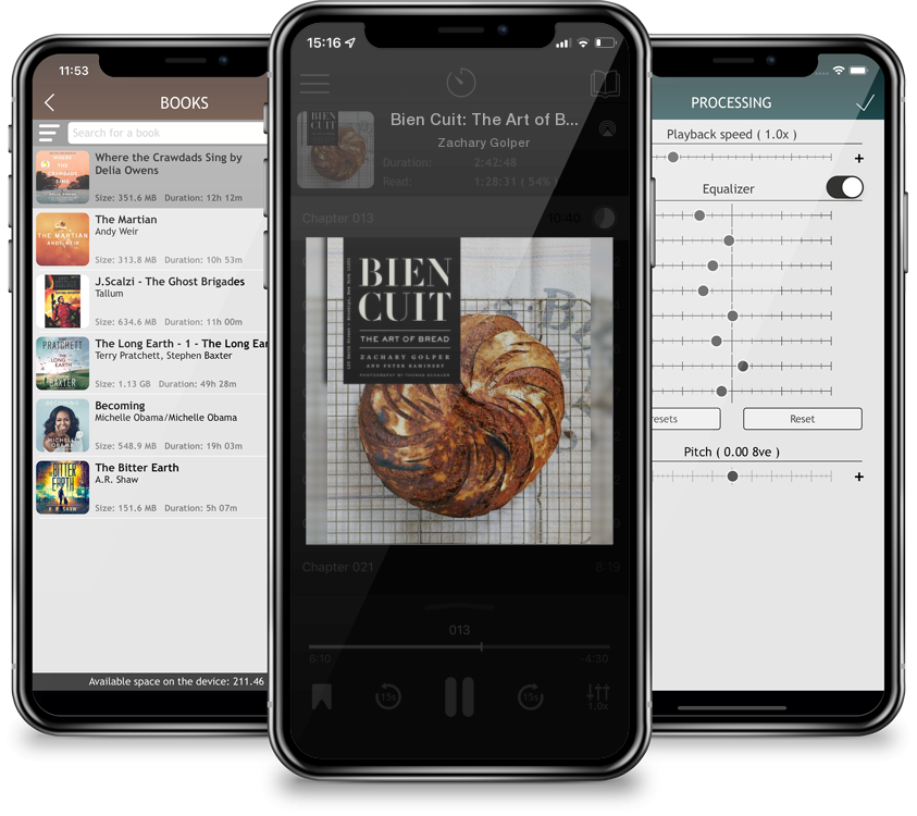 Audiobook Bien Cuit: The Art of Bread by Zachary Golper