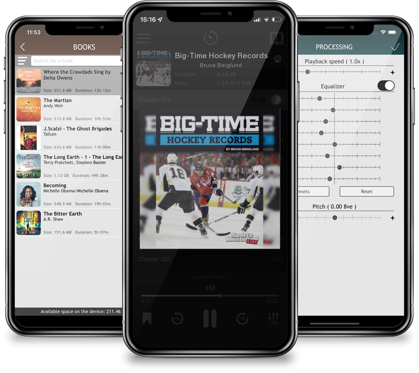 Listen Big-Time Hockey Records by Bruce Berglund in MP3 Audiobook Player for free