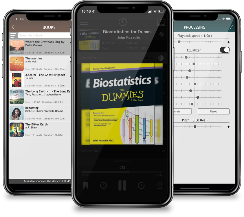 Audiobook Biostatistics for Dummies by John Pezzullo