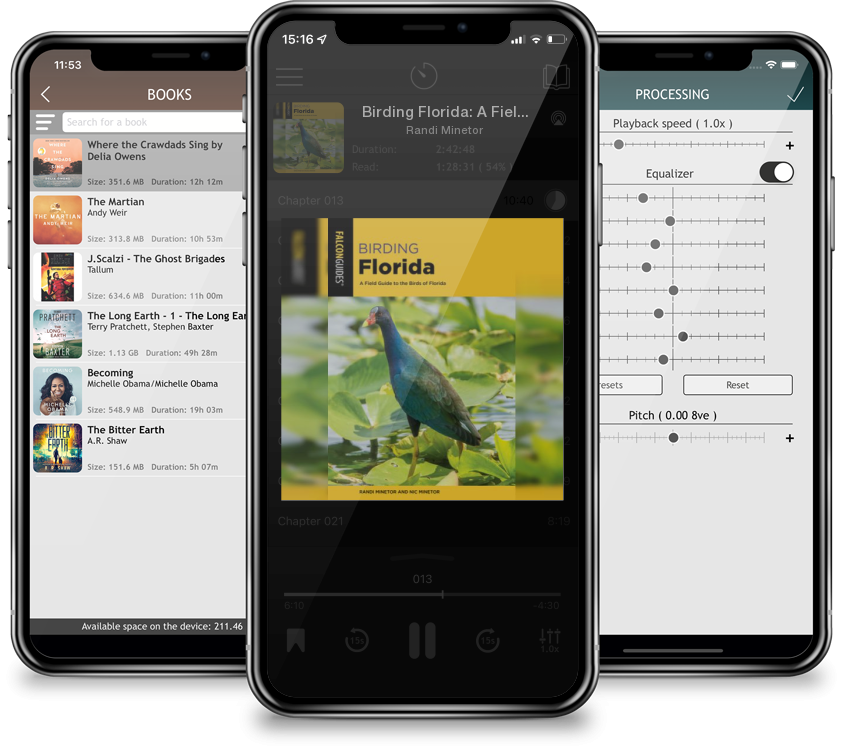 Audiobook Birding Florida: A Field Guide to the Birds of Florida by Randi Minetor