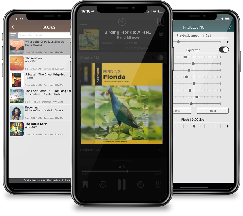 Listen Birding Florida: A Field Guide to the Birds of Florida by Randi Minetor in MP3 Audiobook Player for free