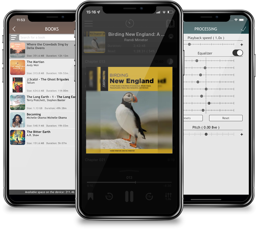 Audiobook Birding New England: A Field Guide to the Birds of Connecticut, Rhode Island, Massachusetts, Maine, New Hampshire, and Vermont by Randi Minetor