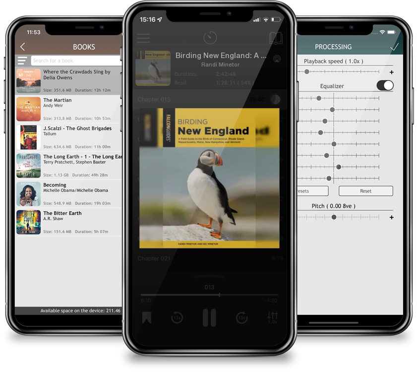 Listen Birding New England: A Field Guide to the Birds of Connecticut, Rhode Island, Massachusetts, Maine, New Hampshire, and Vermont by Randi Minetor in MP3 Audiobook Player for free