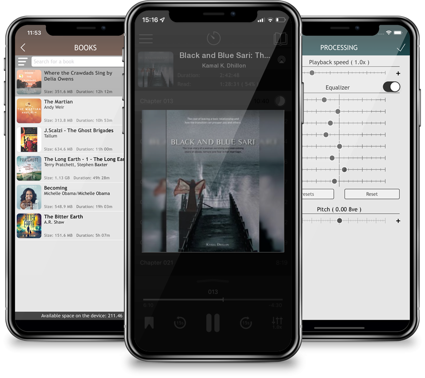 Audiobook Black and Blue Sari: The true story of a woman surviving and overcoming years of abuse, torture and fear in her marriage by Kamal K. Dhillon