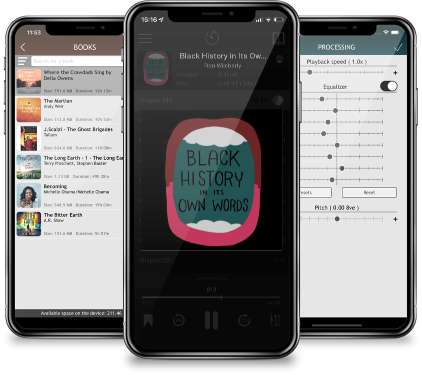 Audiobook Black History in Its Own Words by Ron Wimberly