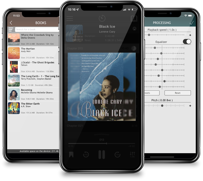 Audiobook Black Ice by Lorene Cary
