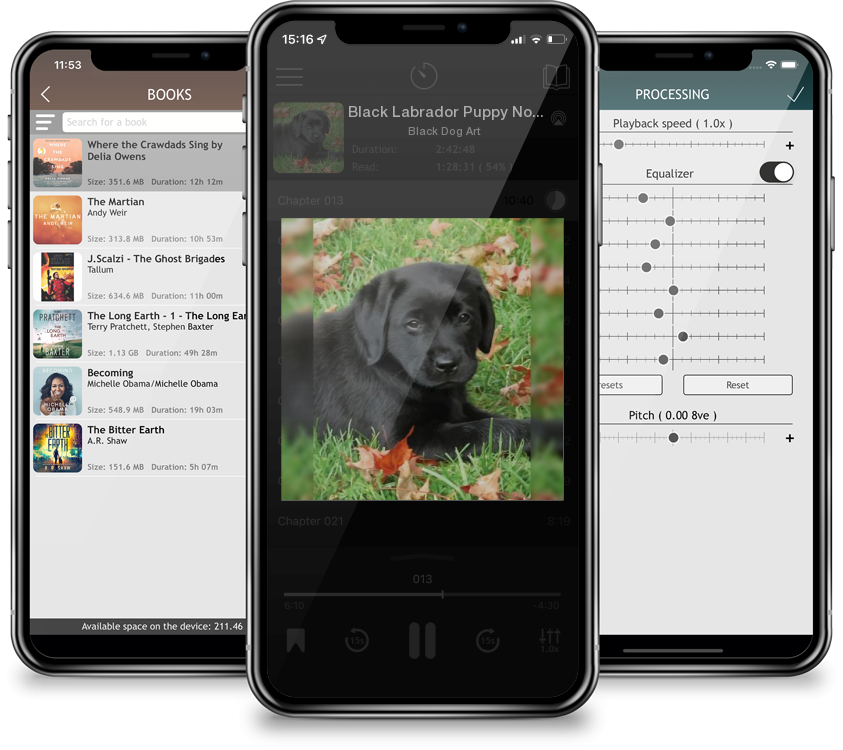 Listen Black Labrador Puppy Notebook: Dog Wisdom Quotes by Black Dog Art in MP3 Audiobook Player for free