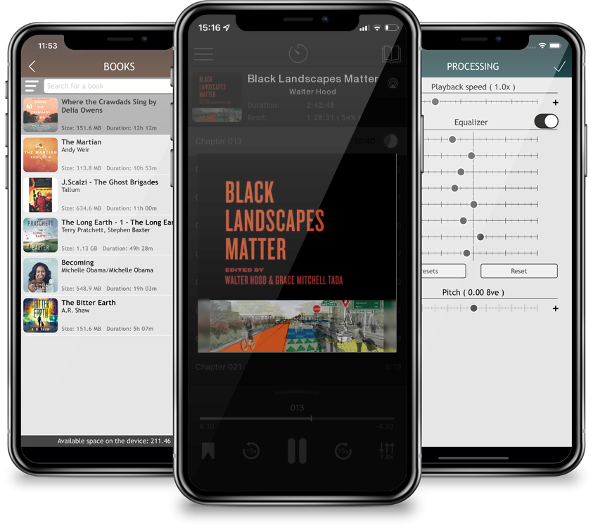 Audiobook Black Landscapes Matter by Walter Hood