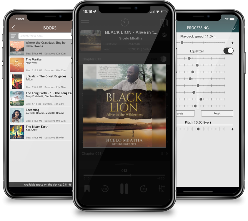 Audiobook BLACK LION - Alive in the wilderness by Sicelo Mbatha