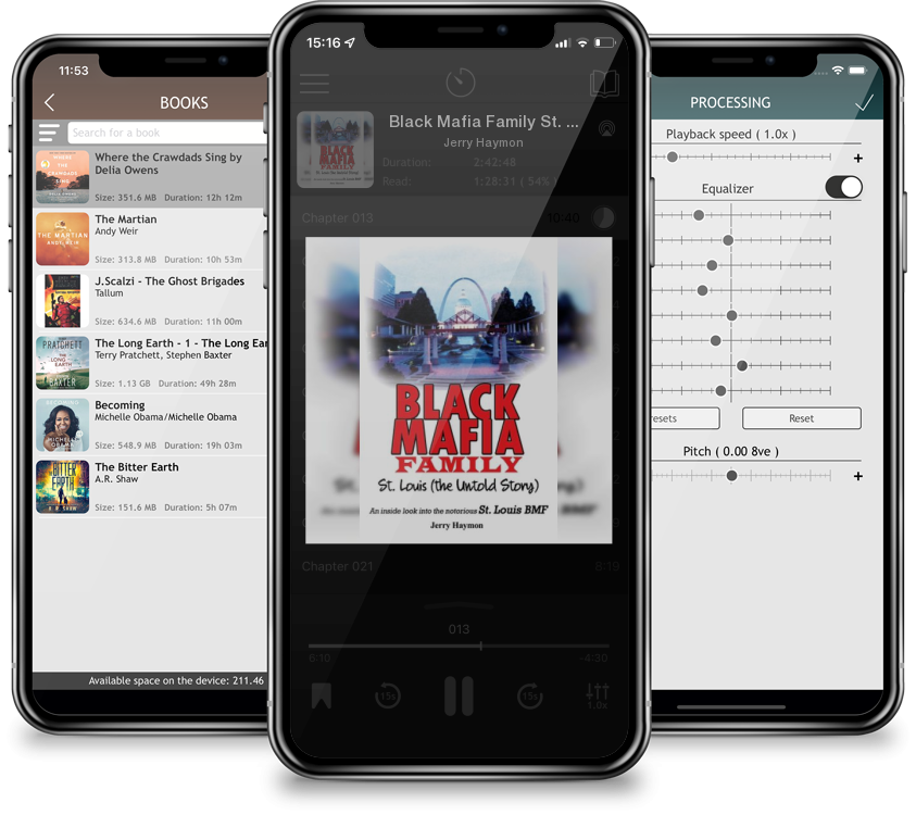 Audiobook Black Mafia Family St. Louis (The Untold Story) by Jerry Haymon