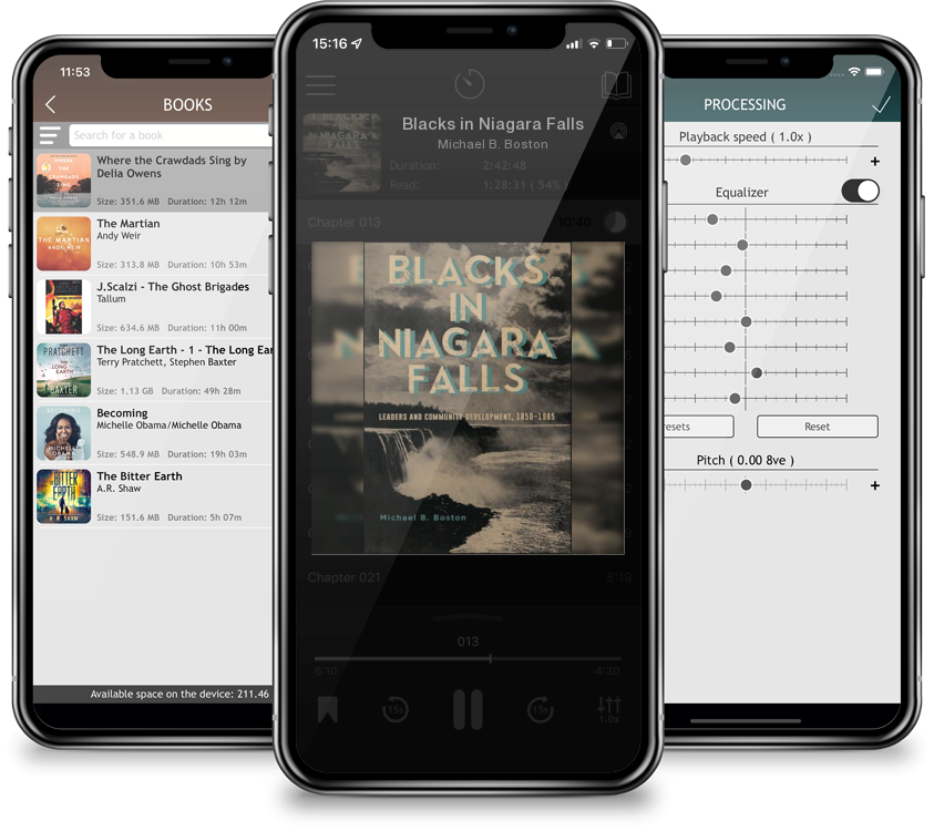 Audiobook Blacks in Niagara Falls by Michael B. Boston