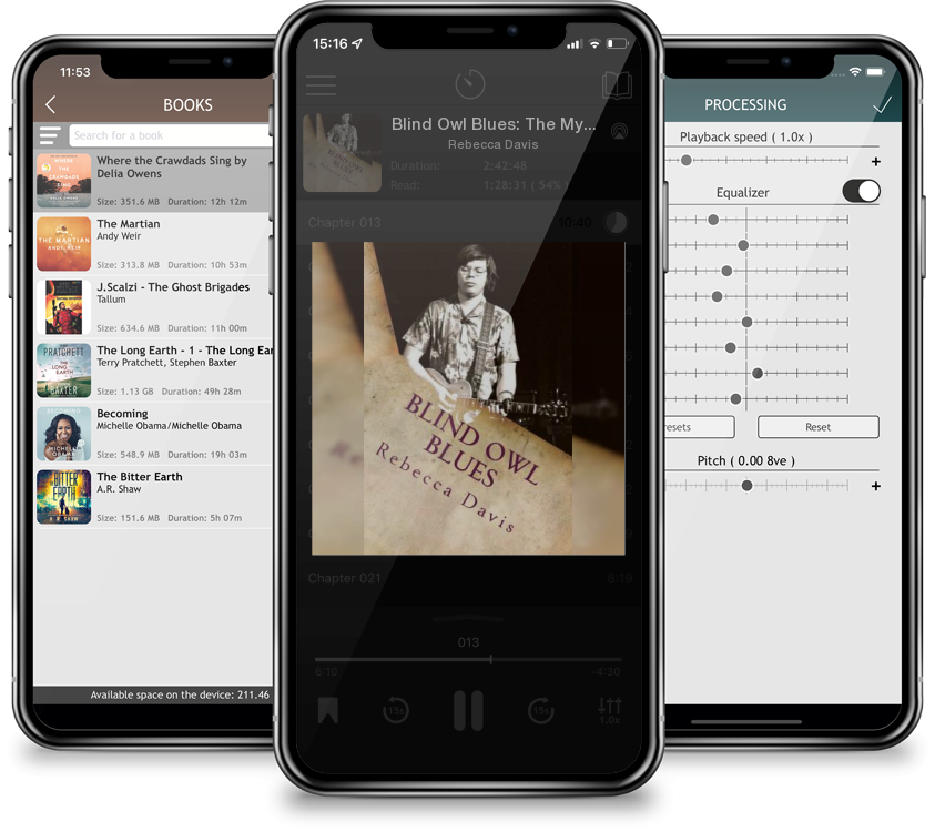 Audiobook Blind Owl Blues: The Mysterious Life and Death of Blues Legend Alan Wilson by Rebecca Davis