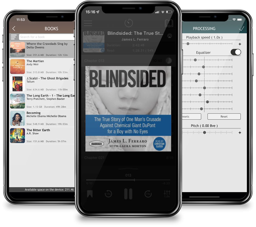 Audiobook Blindsided: The True Story of One Man\'s Crusade Against Chemical Giant DuPont for a Boy with No Eyes (Compact Disc) by James L. Ferraro