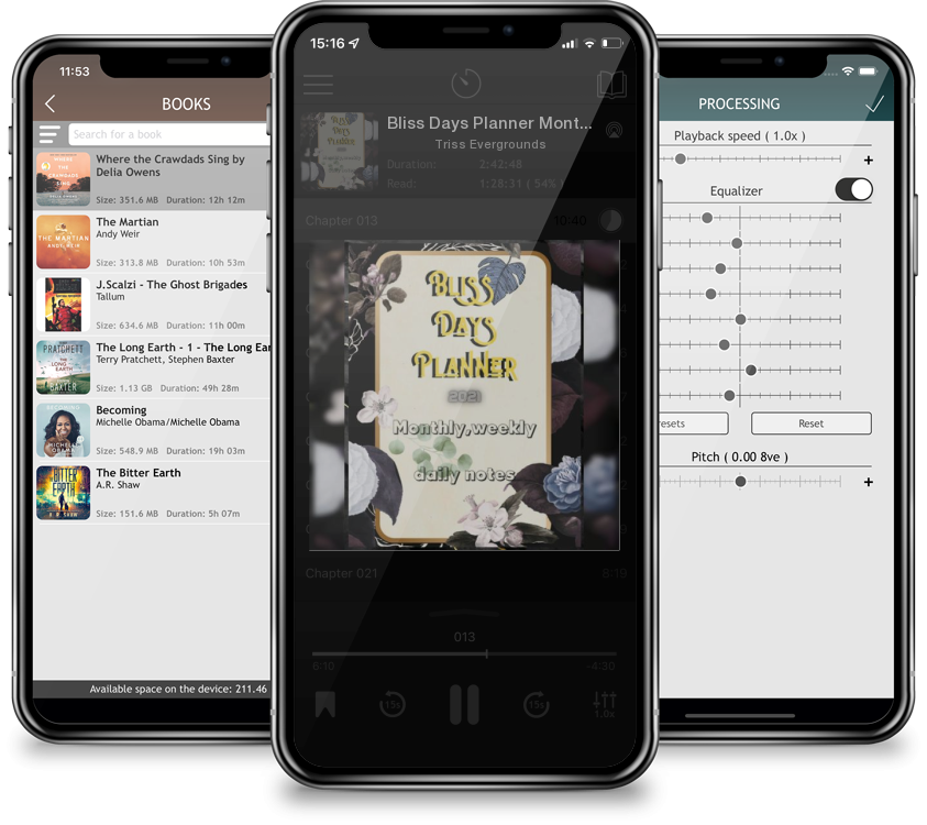 Audiobook Bliss Days Planner Monthly, weekly, daily notes: Colored planner featuring: 2021 full Calendar/ 12 pages calendar months/ Undated monthly timetables w by Triss Evergrounds