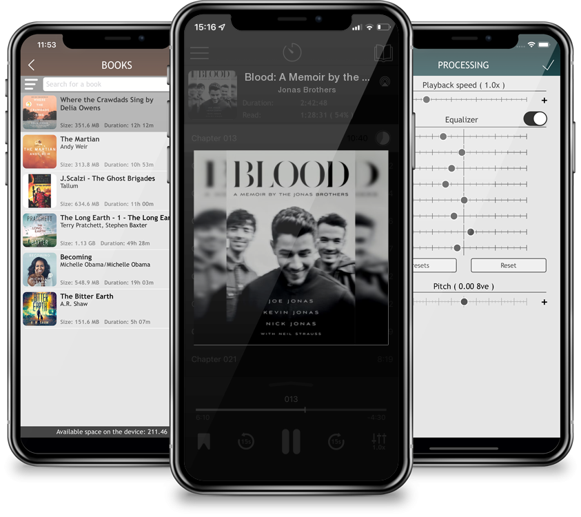 Audiobook Blood: A Memoir by the Jonas Brothers by Jonas Brothers