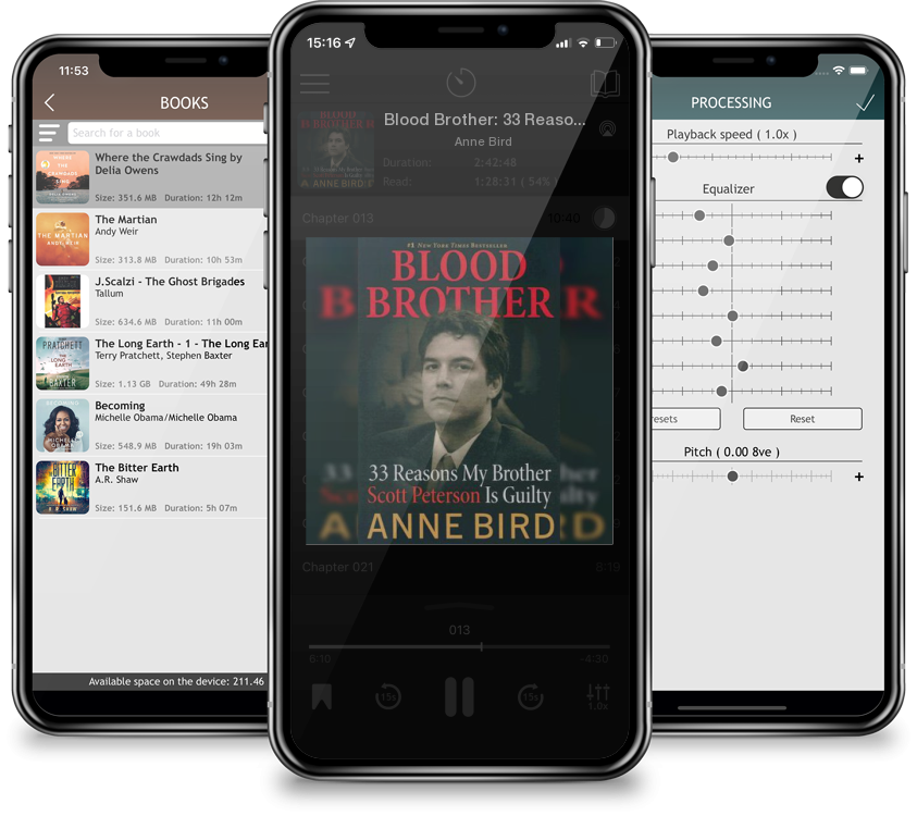 Audiobook Blood Brother: 33 Reasons My Brother Scott Peterson Is Guilty by Anne Bird