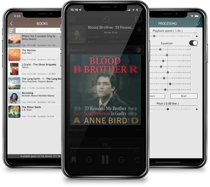 Listen Blood Brother: 33 Reasons My Brother Scott Peterson Is Guilty by Anne Bird in MP3 Audiobook Player for free