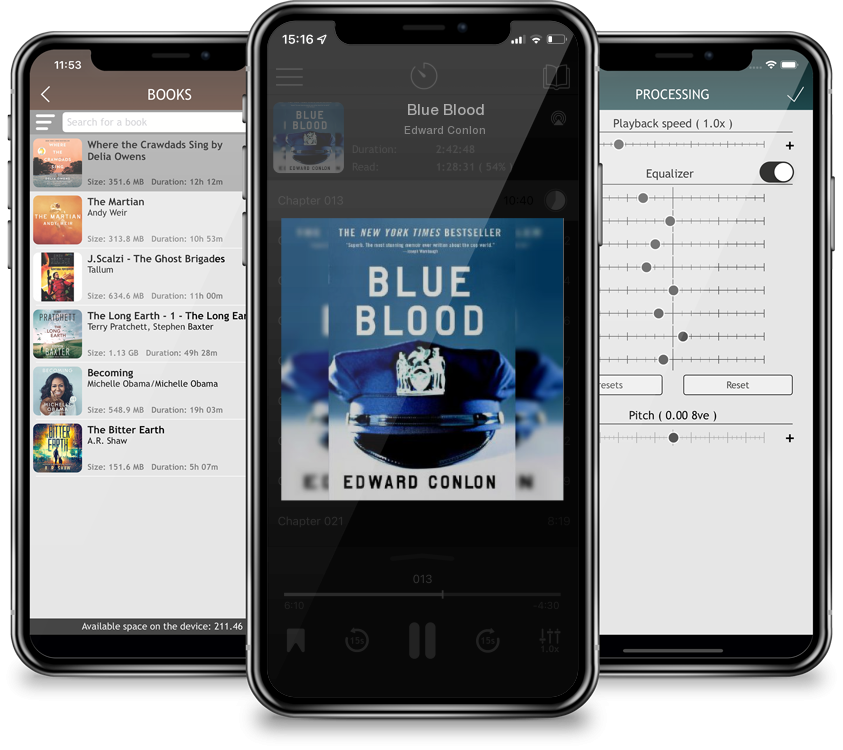 Audiobook Blue Blood by Edward Conlon