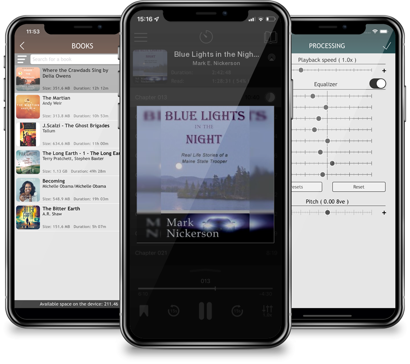 Audiobook Blue Lights in the Night by Mark E. Nickerson