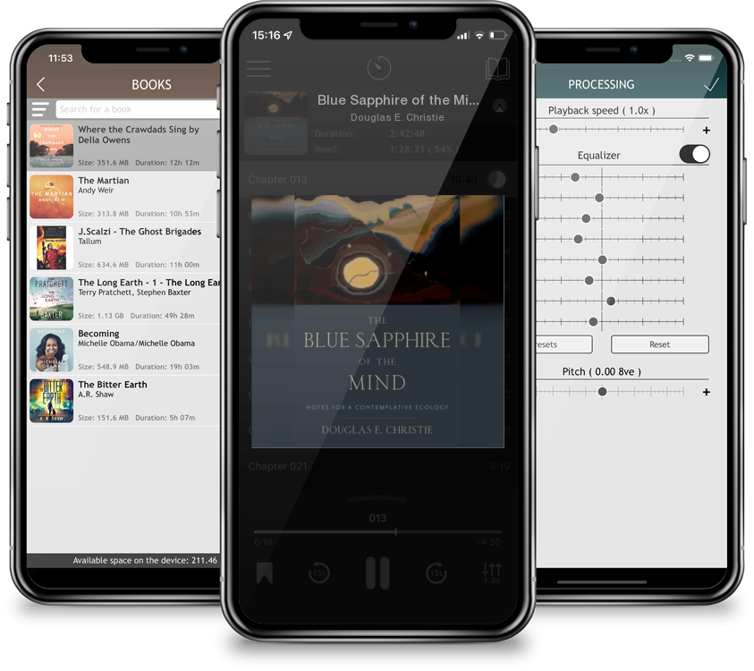 Audiobook Blue Sapphire of the Mind: Notes for a Contemplative Ecology by Douglas E. Christie