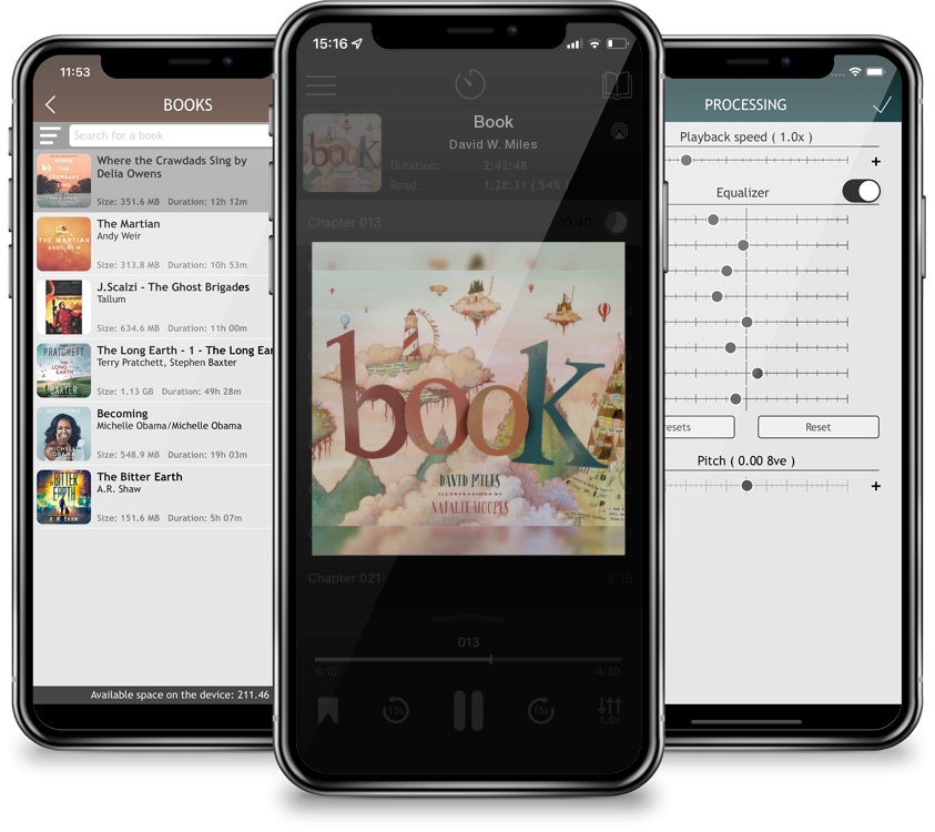 Audiobook Book by David W. Miles